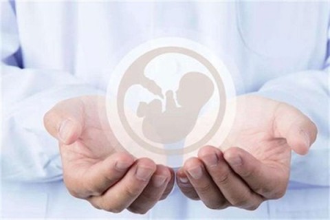 http://fuzhou.hy-ly.com/post/203.html|福州试管助孕
